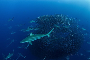 ~ Boxed In ~
This photo illustrates the three dimensiona... by Geo Cloete 
